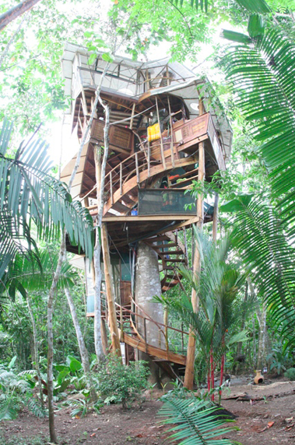 Lapa's Nest Treehouse1