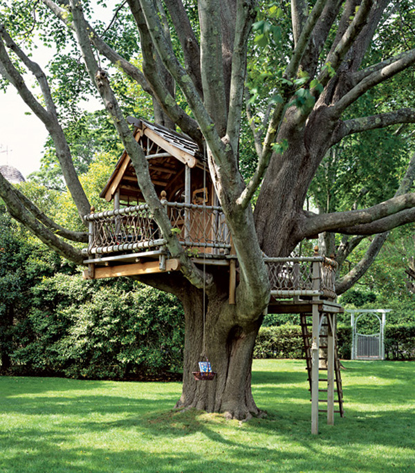 A68_A big treehouse