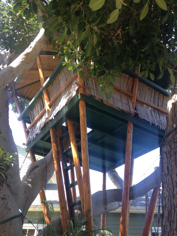 venice beach treehouse 2