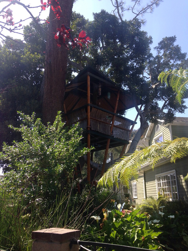 venice beach treehouse 3