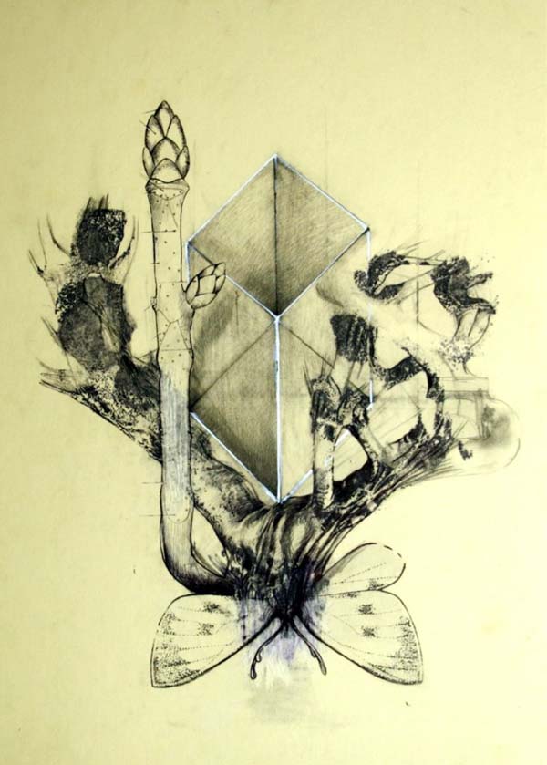 leonardo-magnani-treehouse-iii-desire-inaccessibility-to-your-past-draw-on-paper-30x40-cm.-2011-l