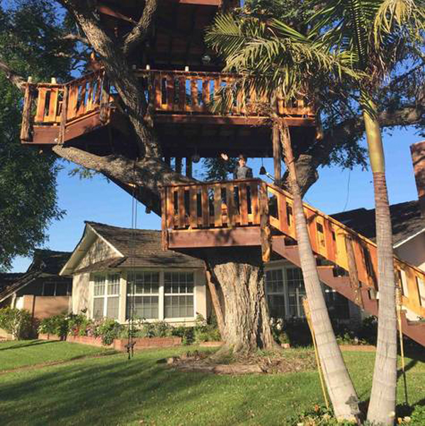 petition treehouse