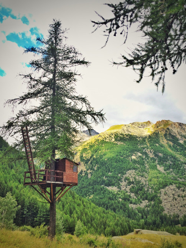 Treehouse in Gran Paradiso National Park near Cogne, Aosta, Italy.
