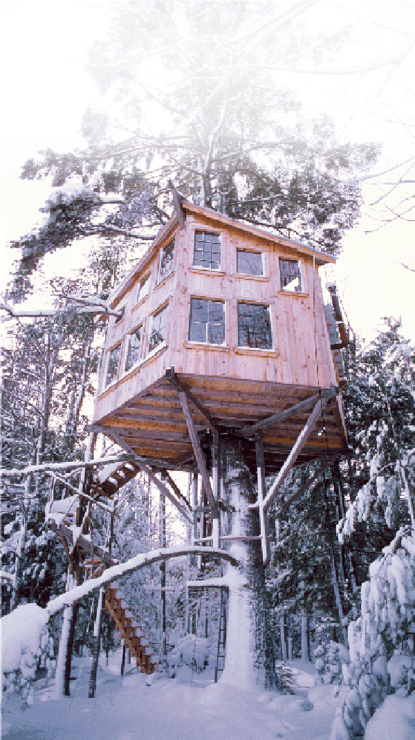 winter stair treehouse