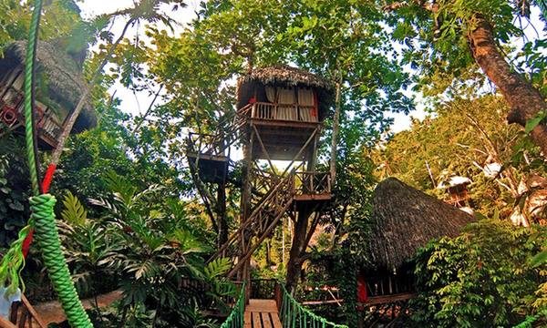 dom treehouse village pic 1