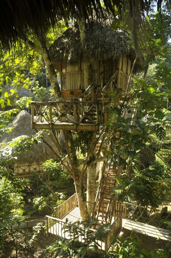 dom treehouse village pic 2