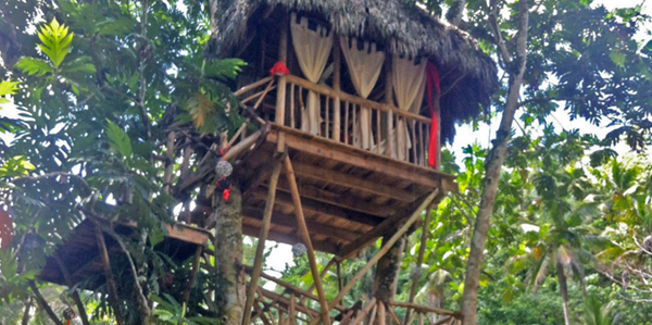 dom treehouse village pic 4